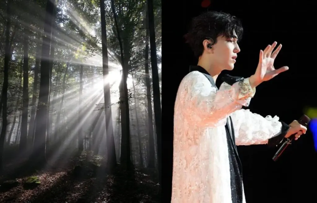 the artist behind Dimash Qudaibergen - Istanbul concert outfits