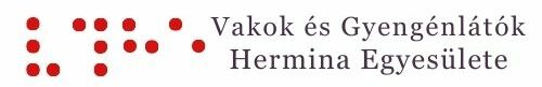 Hermina Association Logo Hungary Dimash Qudaibergen